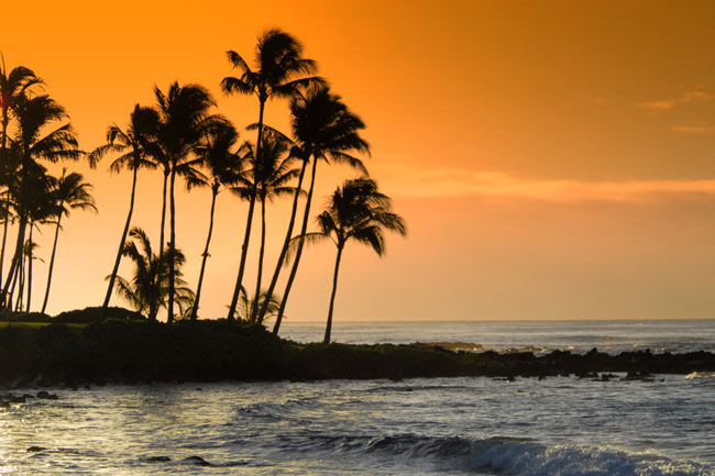 Hawaii Vacations and Resorts